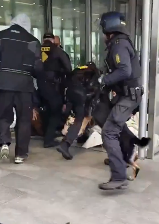 Unleashing the Dogs: Danish Police Crush Anti-Israel Blockade at Maersk HQ | WATCH
