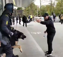Danish Police Use K9 Dogs to Clear Anti-Israel Protest in Copenhagen