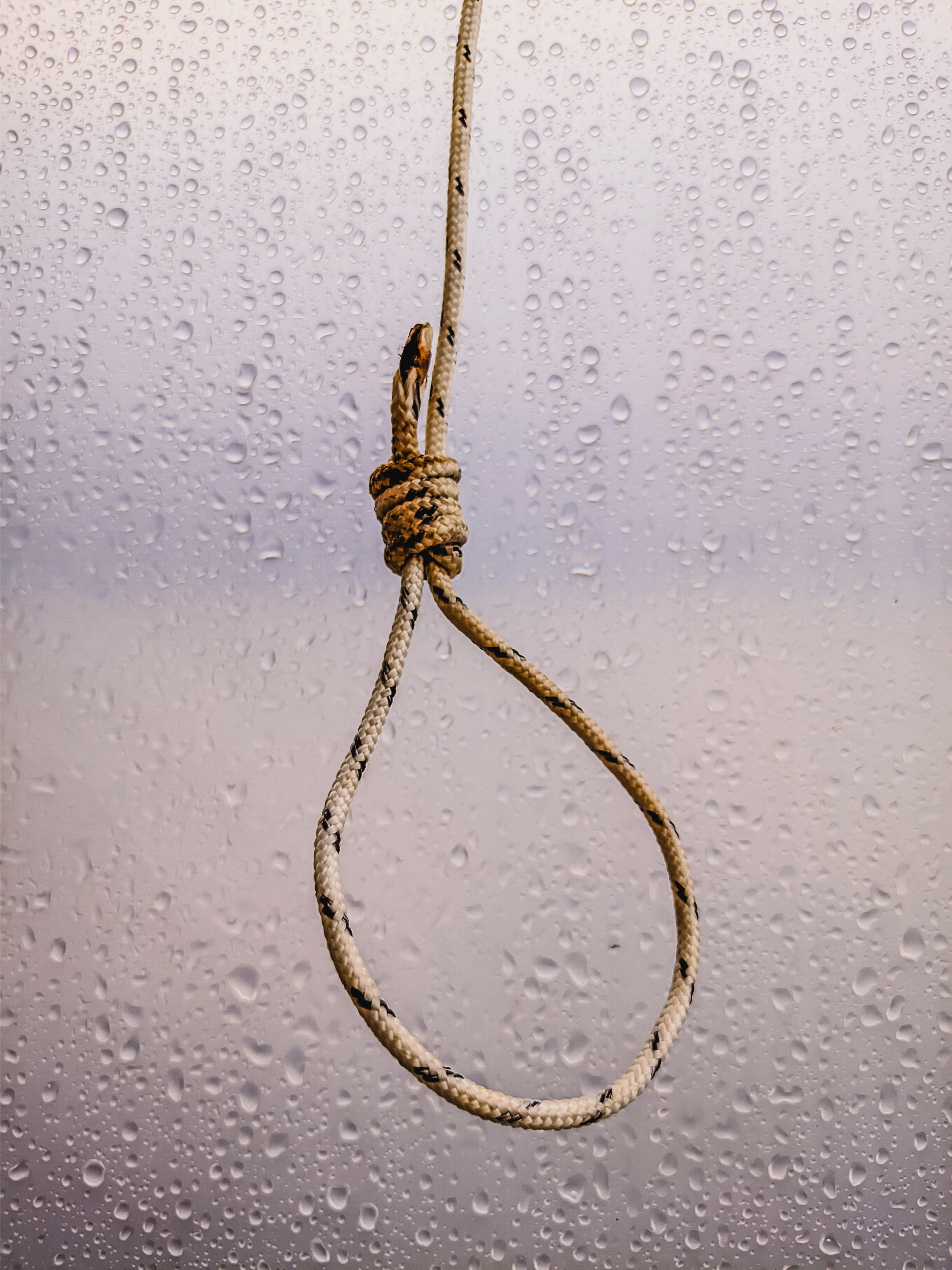 Noose
