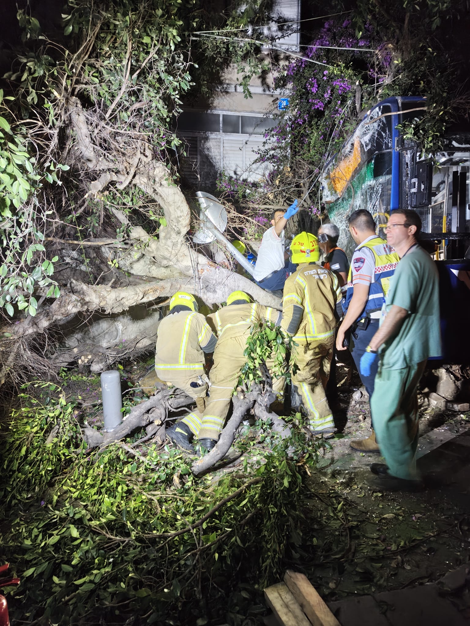 Scene of the bus incident