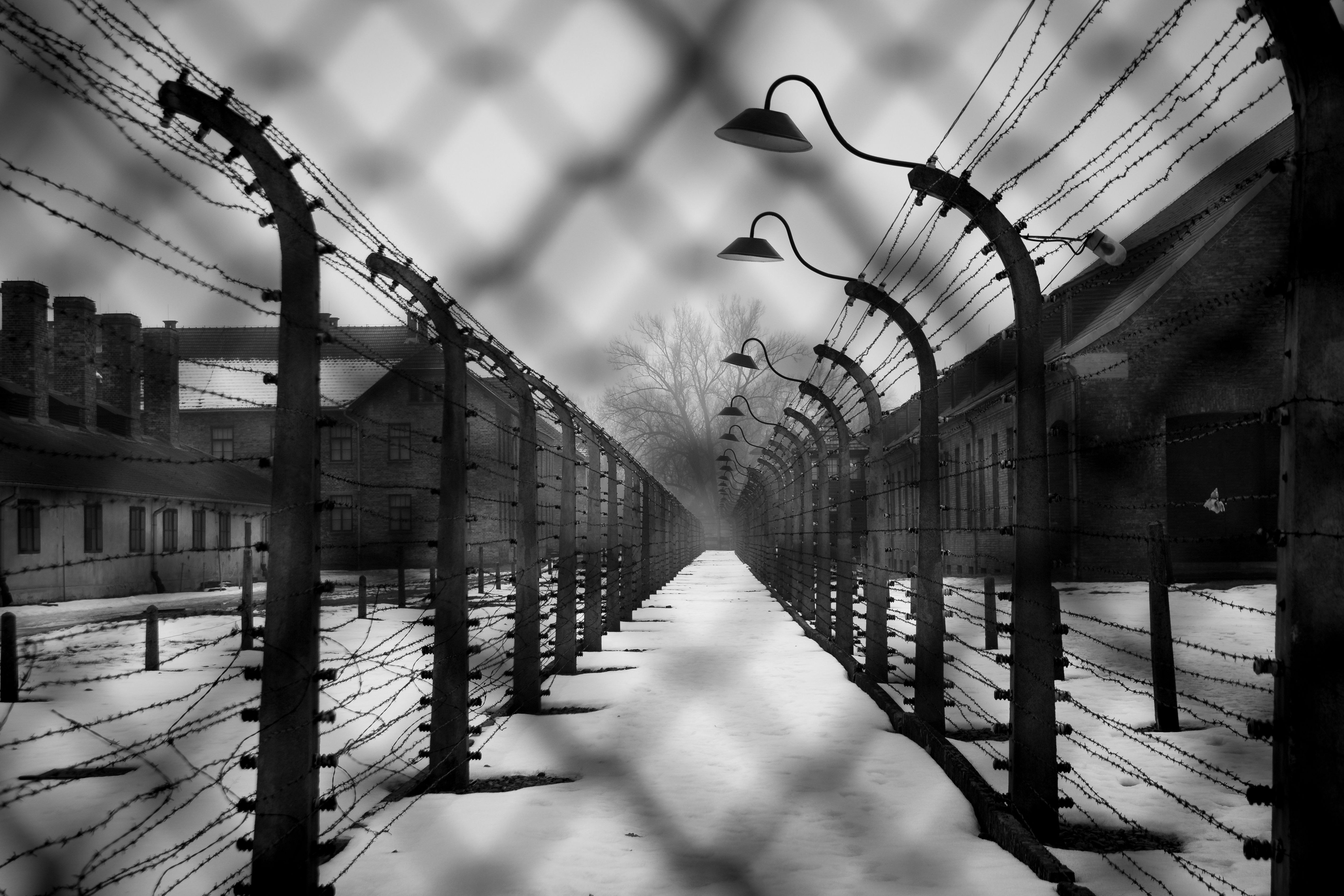 Auschwitz - Birkenau main concentration camp for jews during holocaust, barbed wire and fence in winter foggy weather, Poland