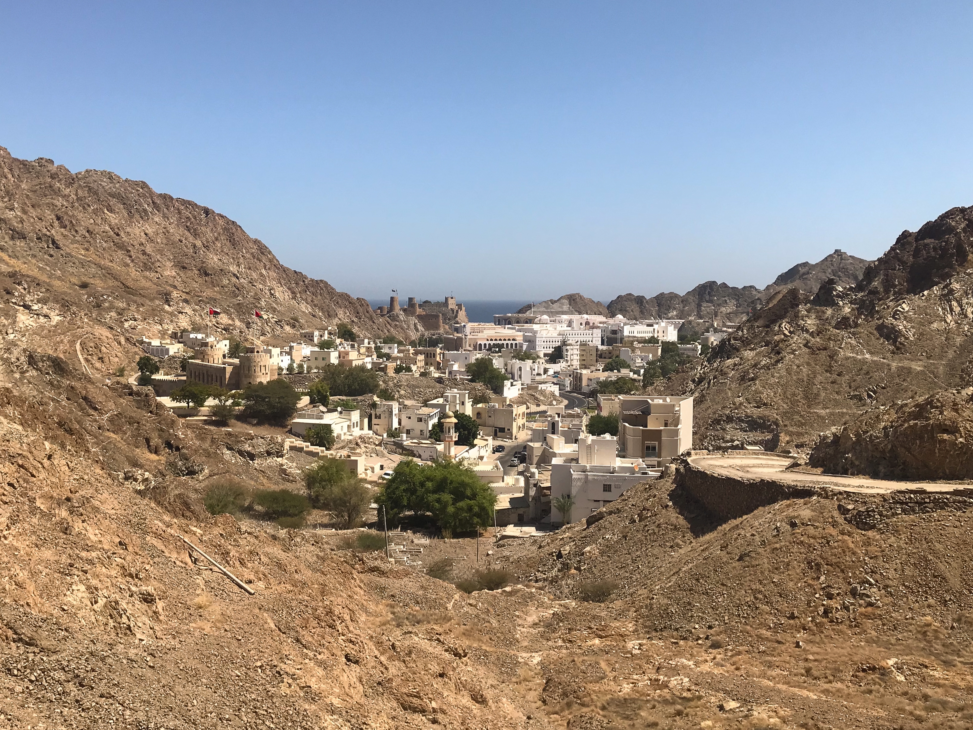 Muscat
