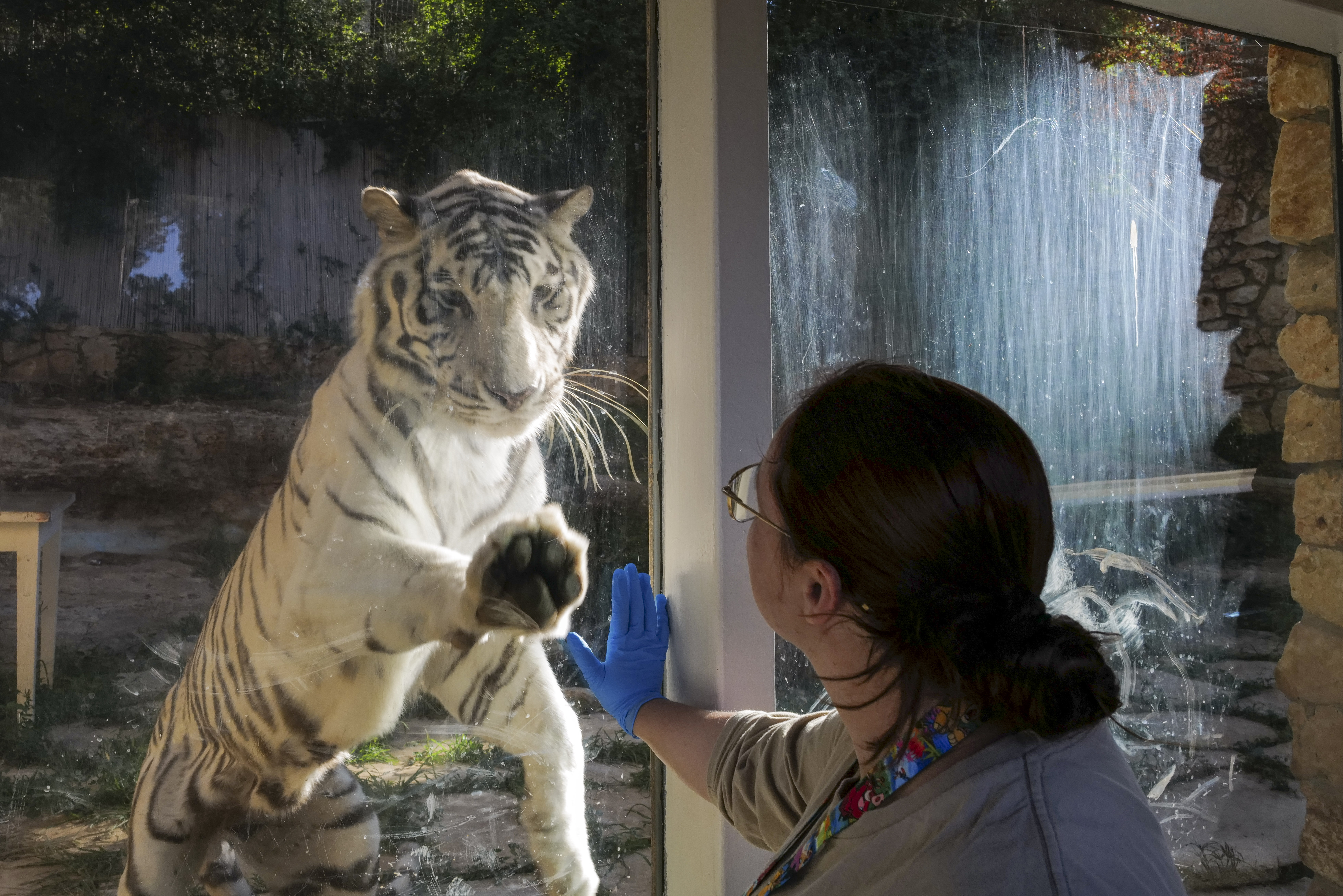 Haifa Zoo