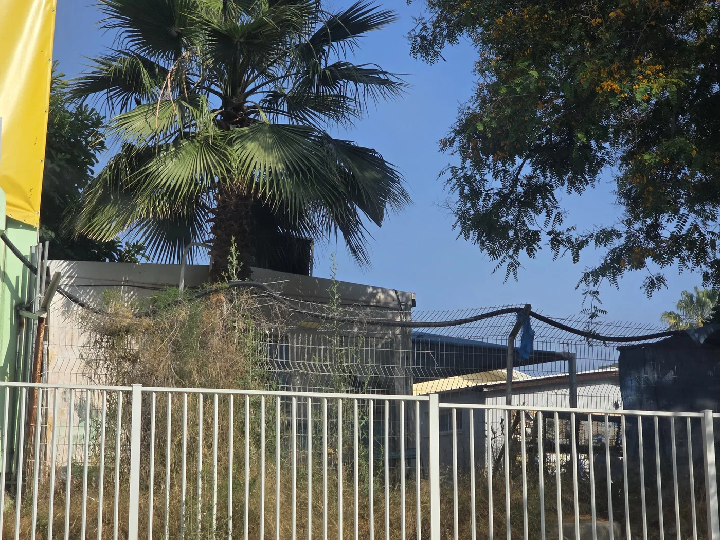 Ohr Dovid Talmud Torah
