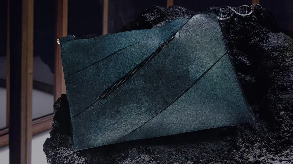 The dino bag.