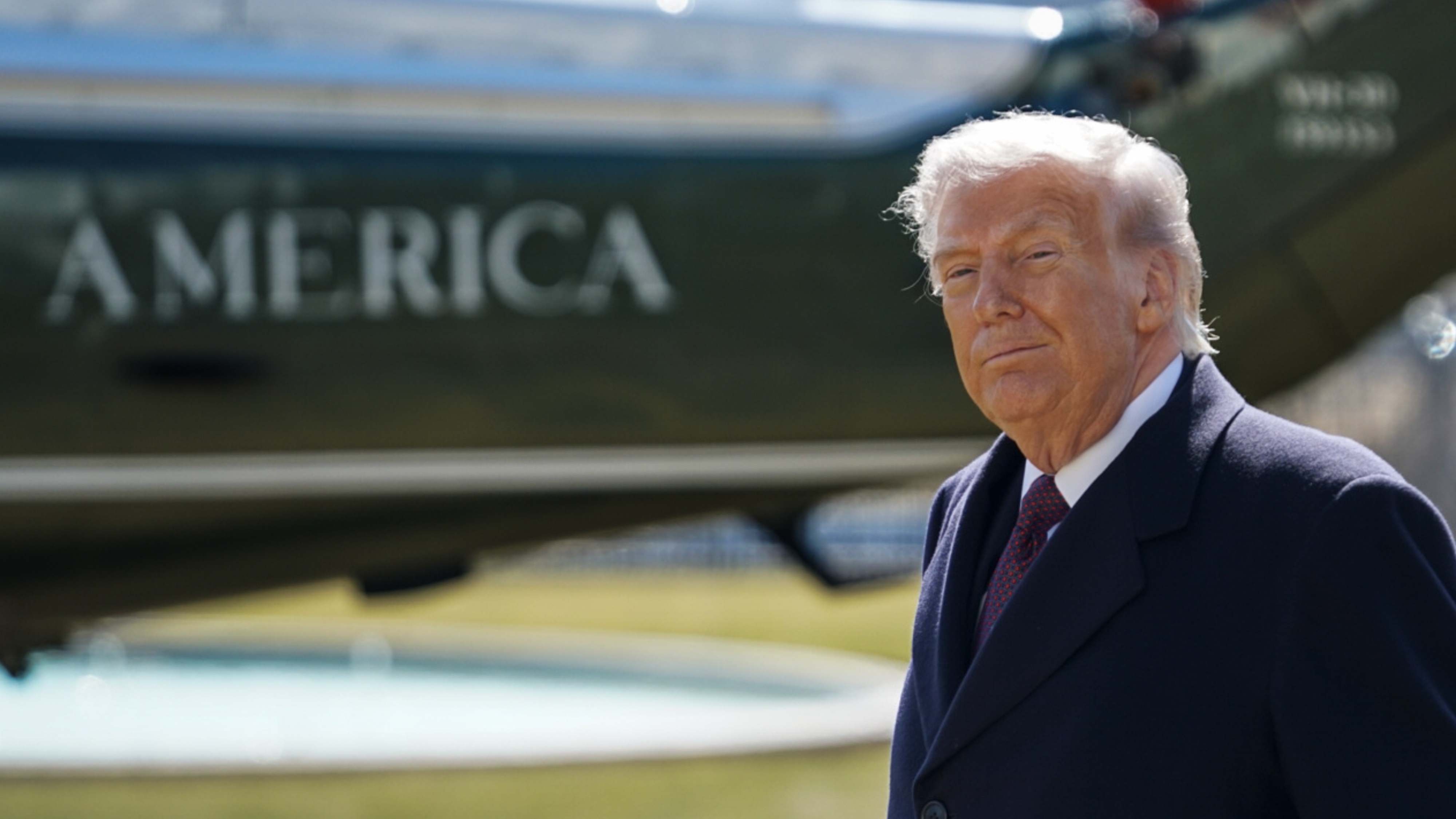 President Donald Trump 
