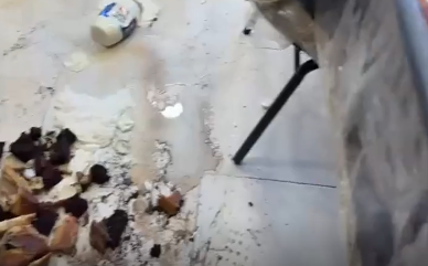 Bnei Brak Synagogue Desecrated: Animal Head and Dead Bird Dumped in Sacred Hall