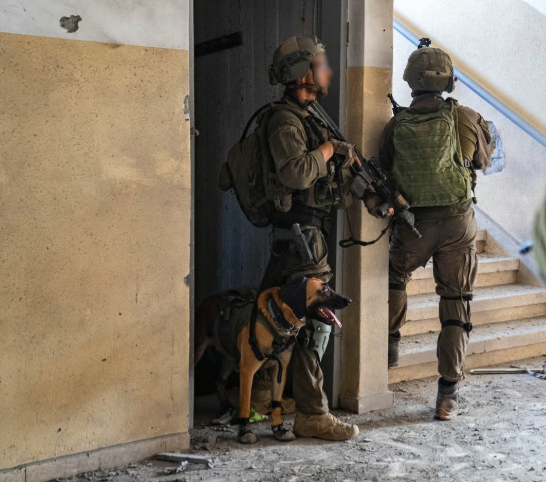 Oketz Dog Mars Killed in Bint Jbeil as New Details of Terrorist's Death Surface 