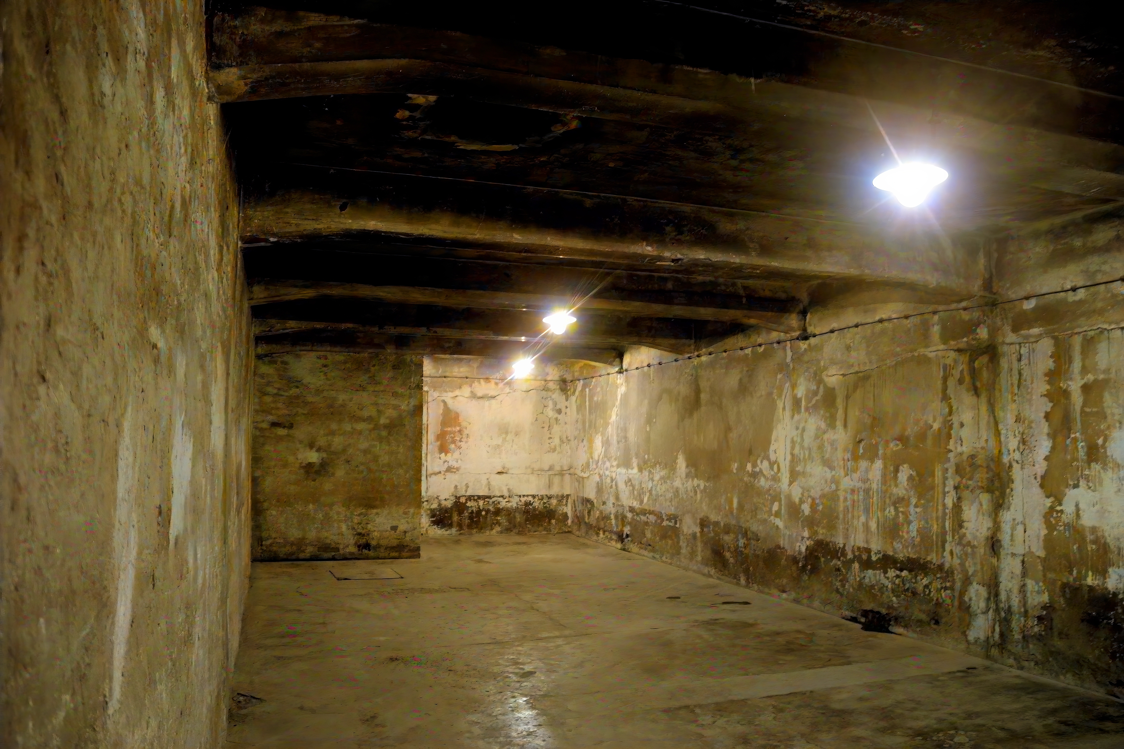 Auschwitz-Birkenau gas chamber
