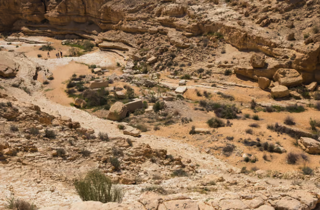 Nachal Guv