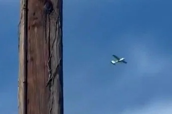 F-16 Fighter Jets Scrambled After Aircraft Breach Restricted Airspace Near Trump Golf Club