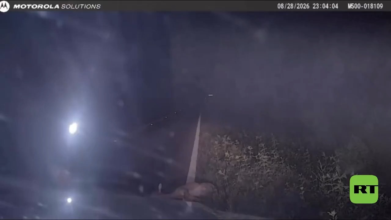 Deer Springs Back to Life: Texas Deputy's Shocking Encounter