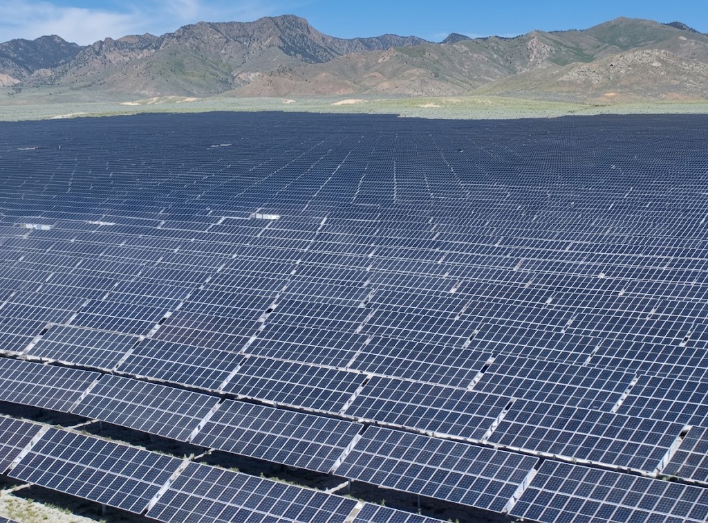 China's Giant Solar Farm Had an Overgrowth Problem. 20,000 Sheep Solved the Problem