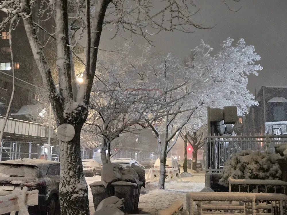 Snowstorm hits NYC