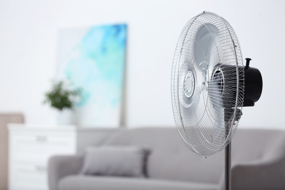 Traditional fan