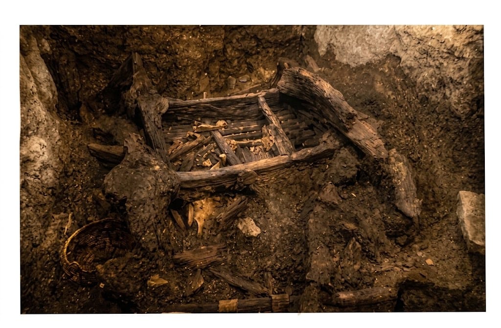 Remains of a wooden cart — this is the original excavation photograph of the wooden cart