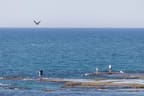 Palmachim beach