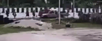 8 Monks Dead After Child Driver Plows Into Procession