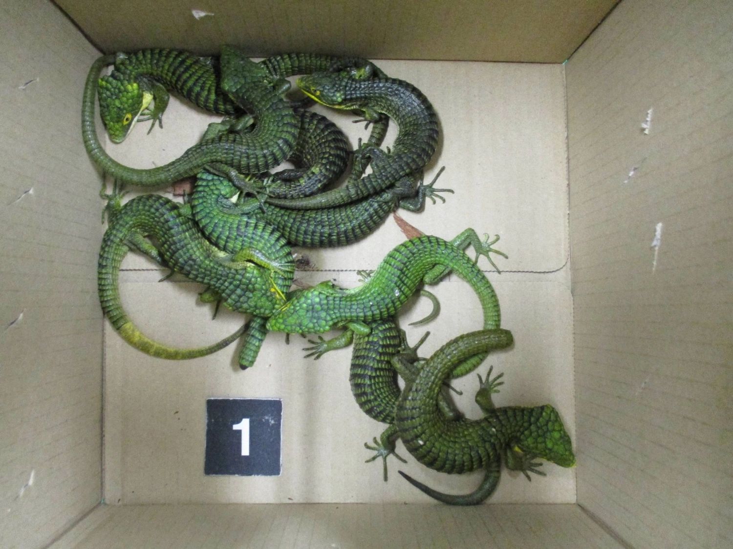Caiman Lizard Smuggling Bust at Tokyo's Haneda Airport