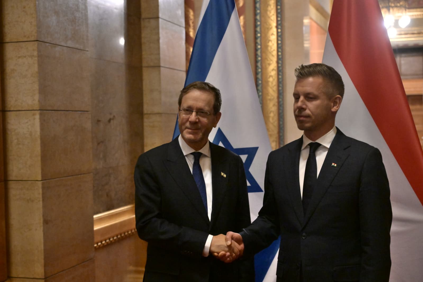 Herzog and Magyar