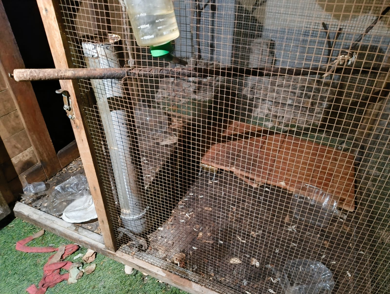 The cage which held the monkey