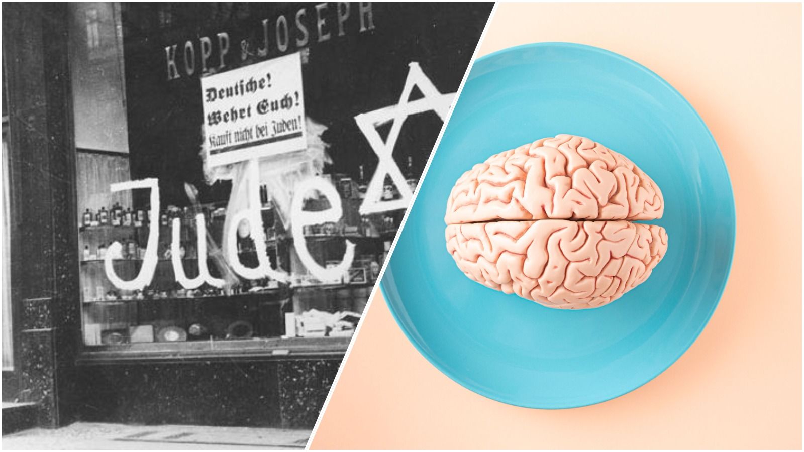 Nazi propaganda and brain scans