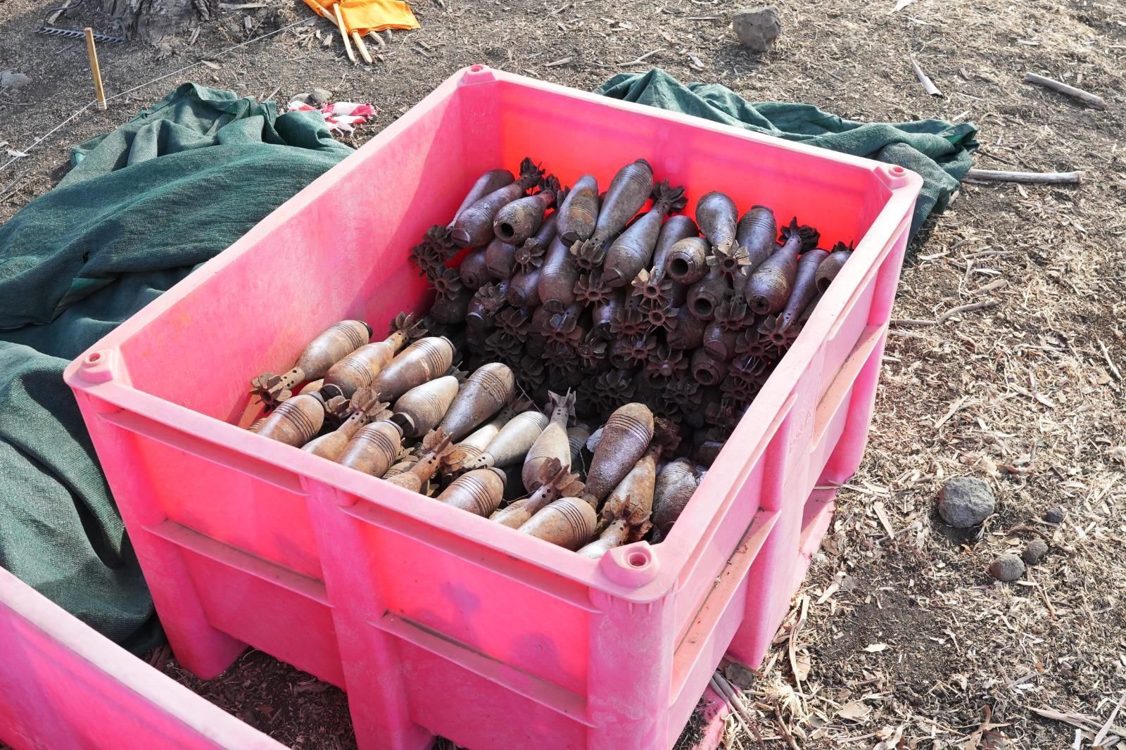 Landmines discovered in the field