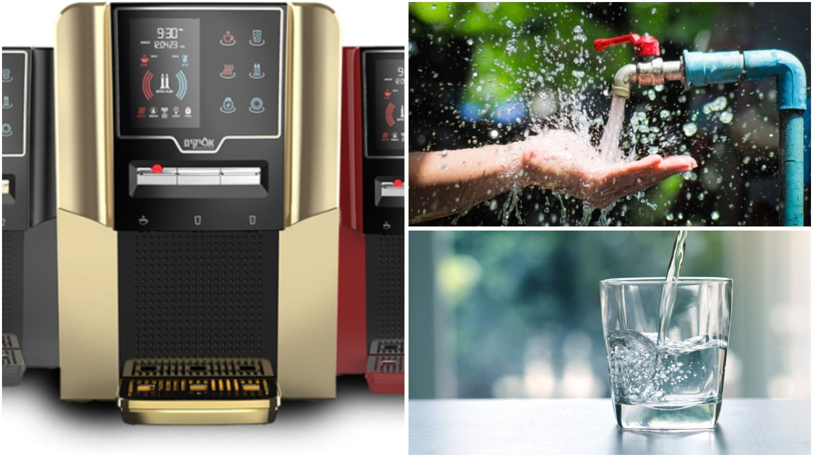 Water dispensers, taps and drinking water