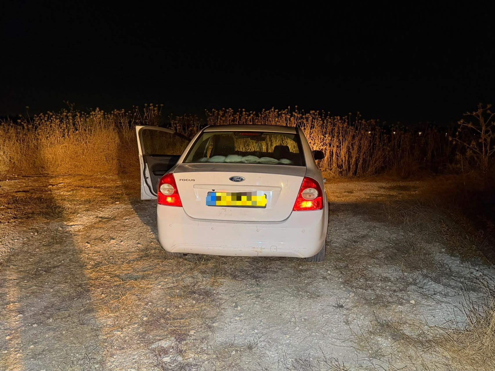 Stolen avocados found in car