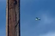 F-16 Fighter Jets Scrambled After Aircraft Breach Restricted Airspace Near Trump Golf Club