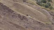The site where the remains were found