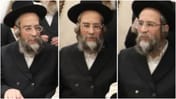 Rav Yitzchak Zev Soloveitchik