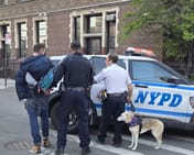 Williamsburg arrest