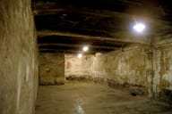 Auschwitz-Birkenau gas chamber