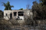 Damage from fire