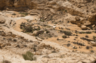 Nachal Guv