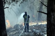 Israel's Chief Forester Warns Hikers: "Fires Are Almost Always Caused by People"