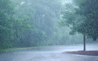 Rain in August