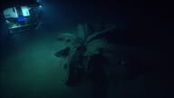 Oil flowers found on the seabed
