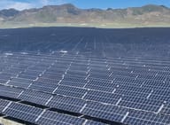 China's Giant Solar Farm Had an Overgrowth Problem. 20,000 Sheep Solved the Problem