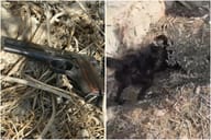 Police Dog Sniffs Out Hidden Gun Buried in Um Al-Fahm Field
