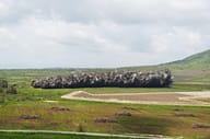 Landmine detonation