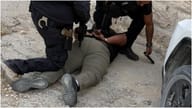 Car Thief Shot at, Chased Through Olive Grove after Ramming Police near Jerusalem