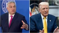 Trump Eyes Orbán for UN Chief 