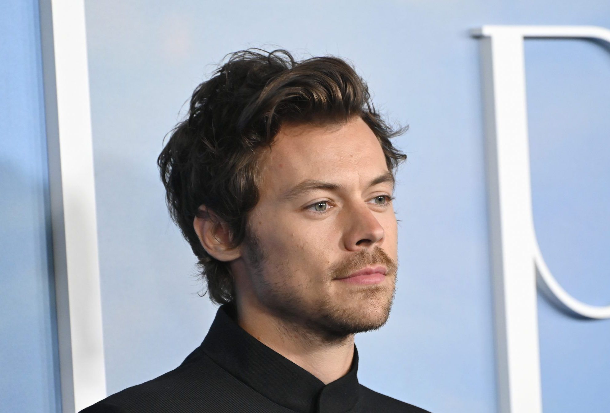 Harry Styles responds to a pro-Palestinian fan