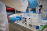 Technion research in action