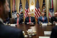 President Donald Trump in the White House