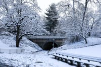 Snow in New York