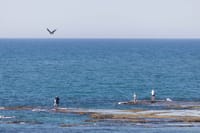 Palmachim beach