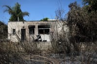 Damage from fire